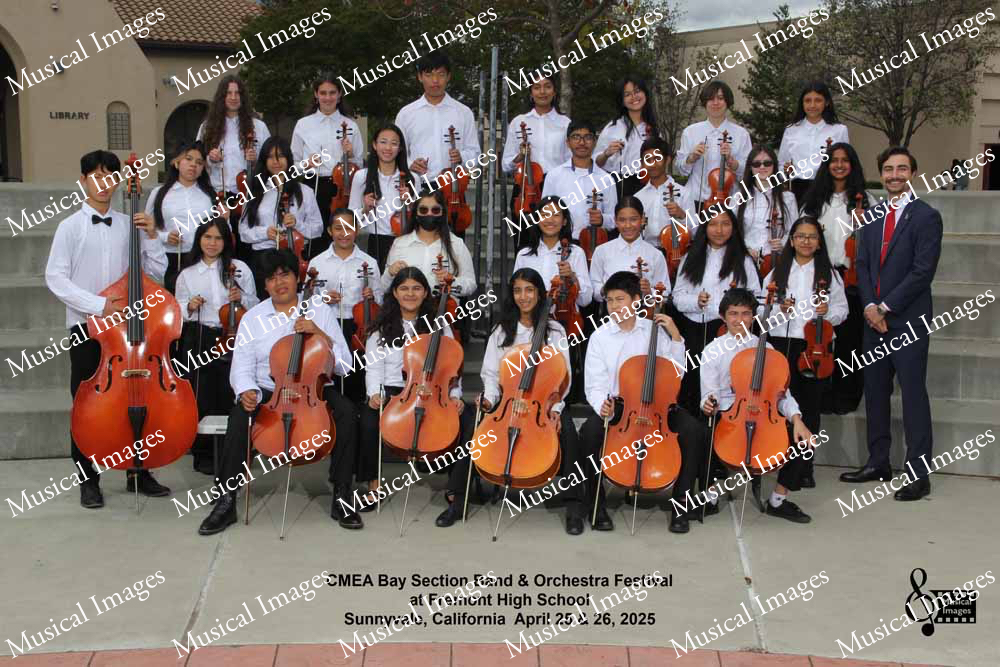 Musical Images